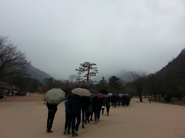 20150318_135515.jpg