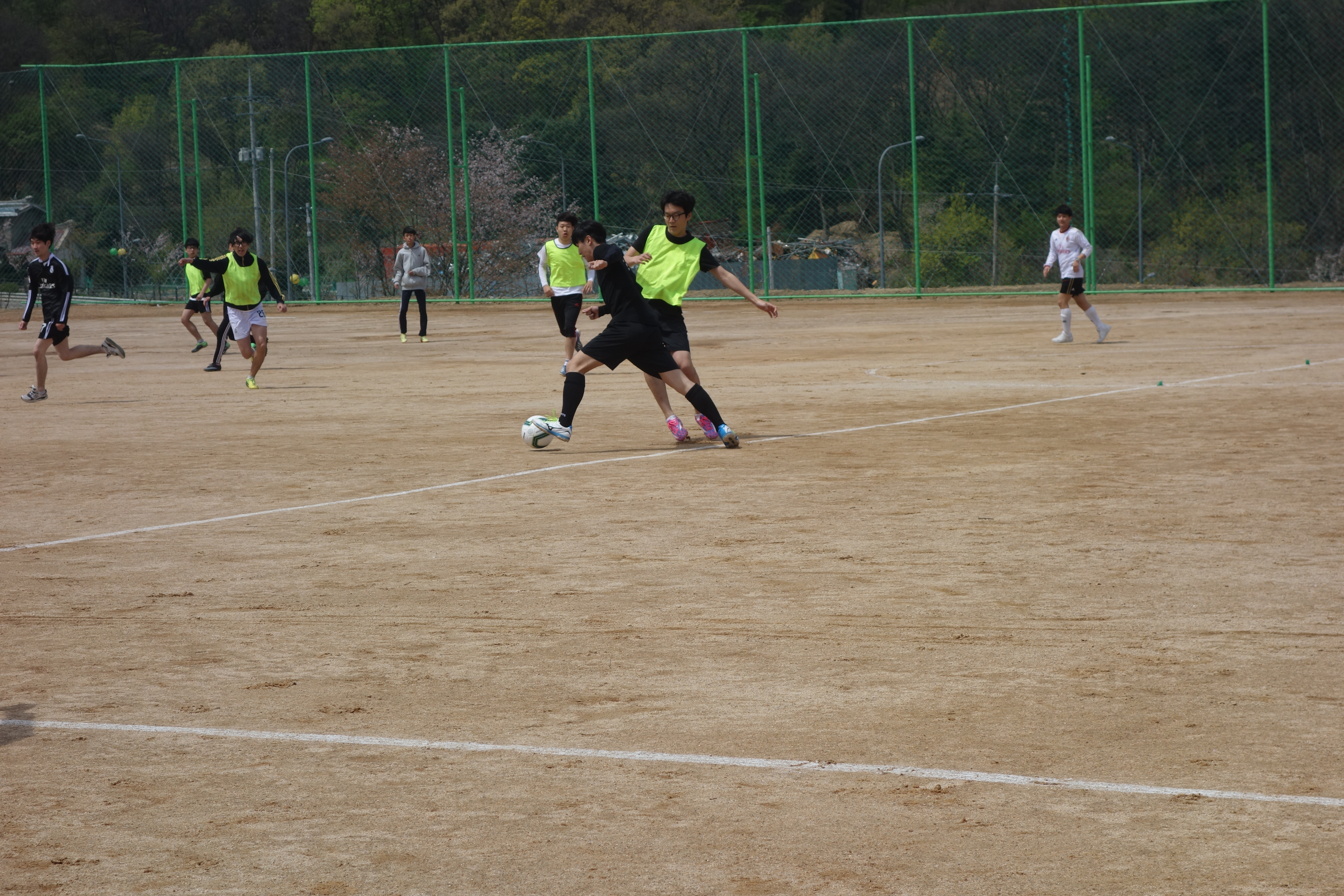 DSC07347.JPG